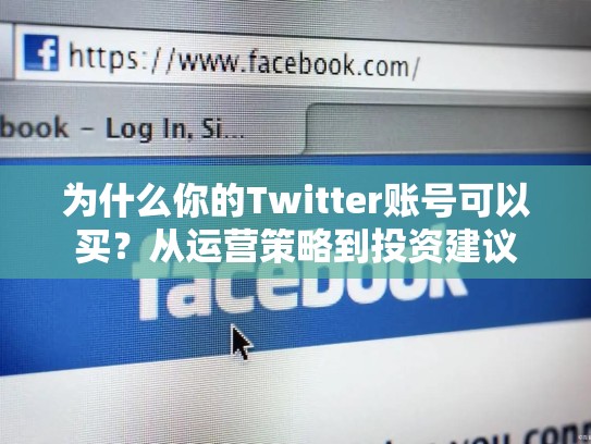 为什么你的Twitter账号可以买？从运营策略到投资建议