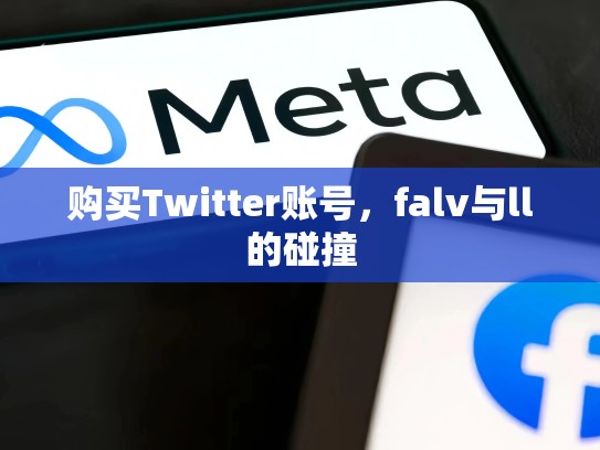 购买Twitter账号，falv与ll的碰撞