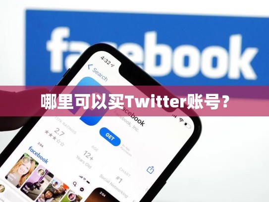 哪里可以买Twitter账号？