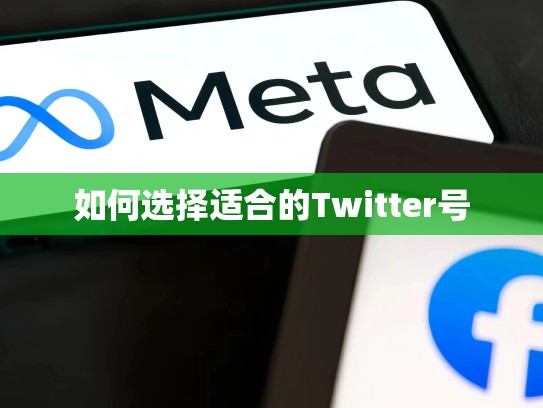 如何选择适合的Twitter号