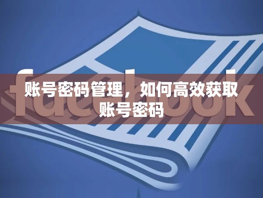 账号密码管理，如何高效获取账号密码