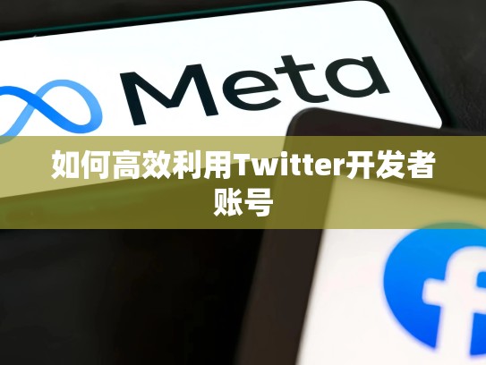 如何高效利用Twitter开发者账号