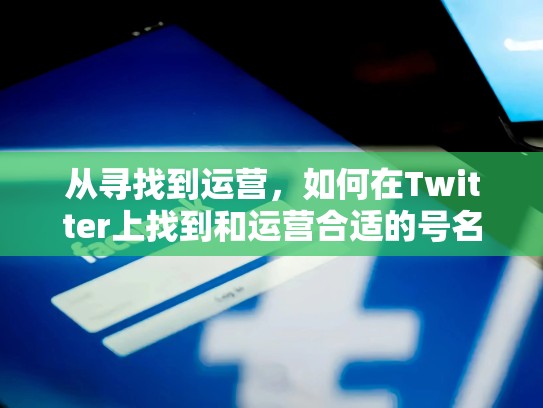 从寻找到运营，如何在Twitter上找到和运营合适的号名