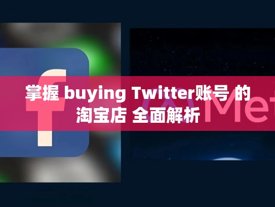 掌握 buying Twitter账号 的淘宝店 全面解析