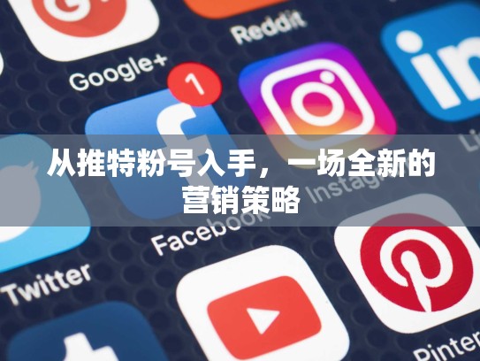 从推特粉号入手，一场全新的营销策略