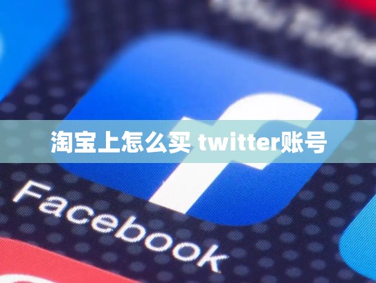 淘宝上怎么买 twitter账号