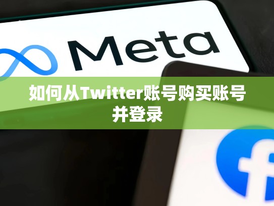 如何从Twitter账号购买账号并登录