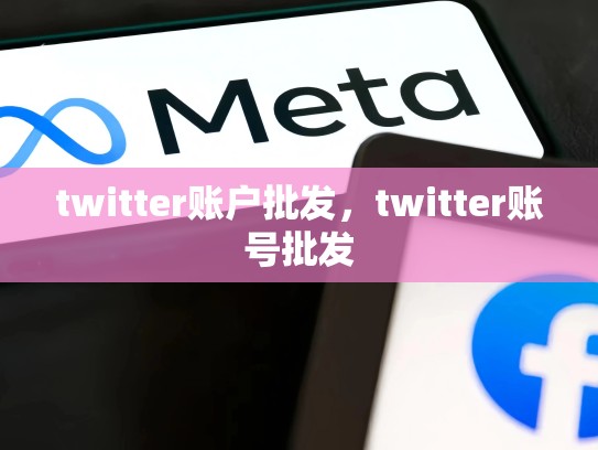 twitter账户批发，twitter账号批发