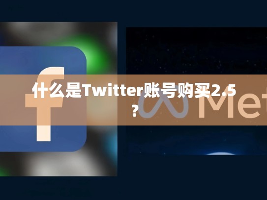 什么是Twitter账号购买2.5？