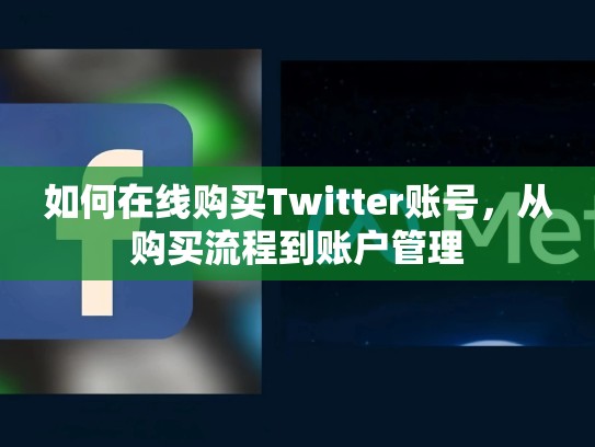 如何在线购买Twitter账号，从购买流程到账户管理