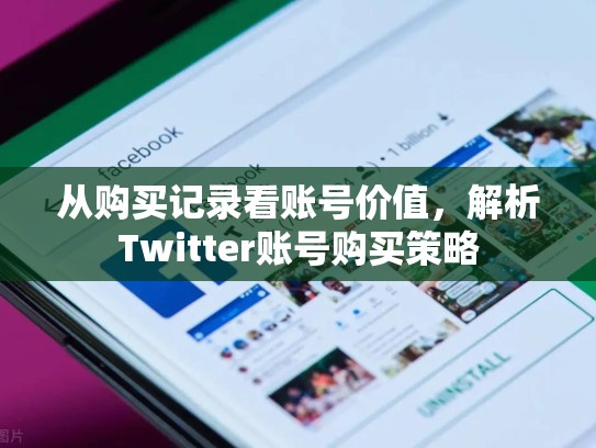 从购买记录看账号价值，解析Twitter账号购买策略