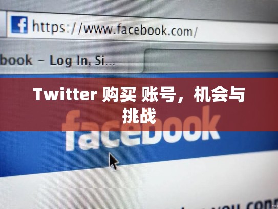 Twitter 购买 账号，机会与挑战