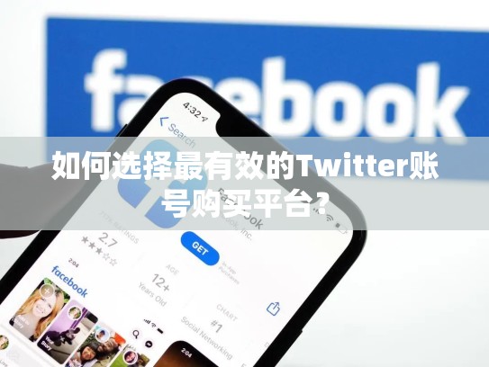 如何选择最有效的Twitter账号购买平台？
