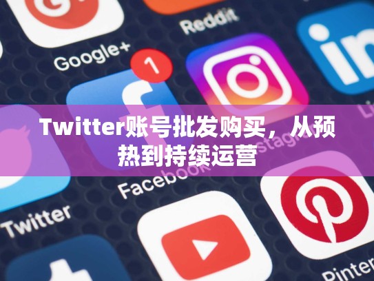 Twitter账号批发购买，从预热到持续运营