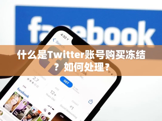 什么是Twitter账号购买冻结？如何处理？