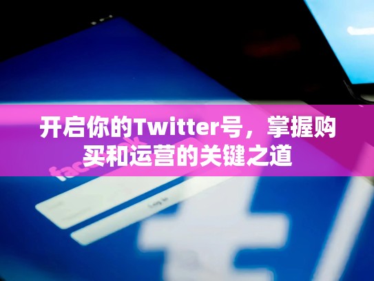 开启你的Twitter号，掌握购买和运营的关键之道