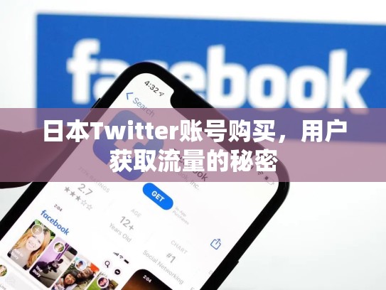 日本Twitter账号购买，用户获取流量的秘密