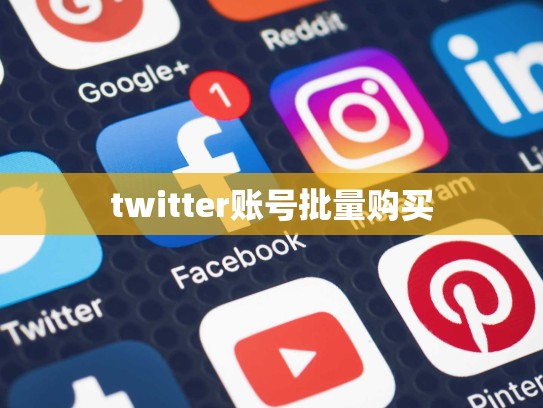 twitter账号批量购买