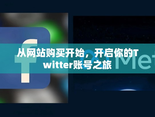 从网站购买开始，开启你的Twitter账号之旅
