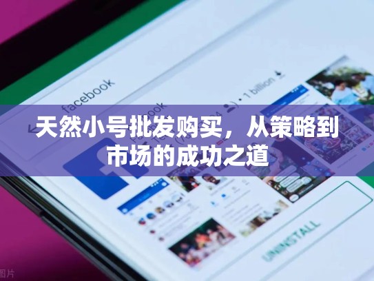 天然小号批发购买，从策略到市场的成功之道