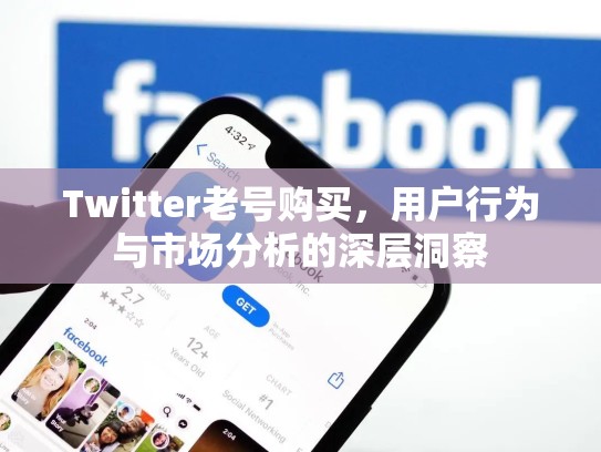 Twitter老号购买，用户行为与市场分析的深层洞察