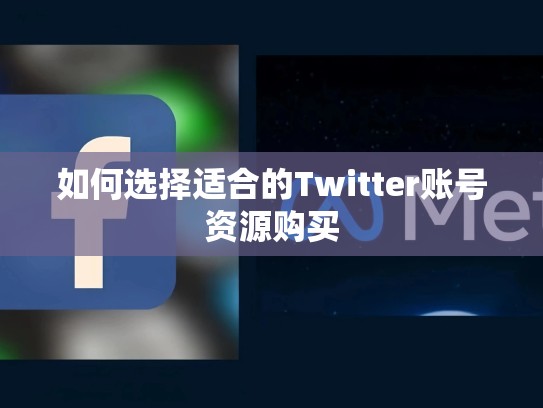 详细阅读:如何选择适合的Twitter账号资源购买 如何选择适合的Twitter账号资源购买