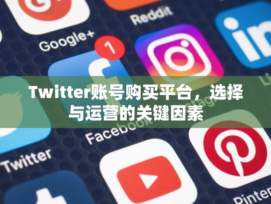 Twitter账号购买平台，选择与运营的关键因素
