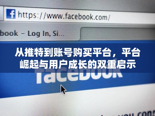 从推特到账号购买平台，平台崛起与用户成长的双重启示