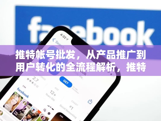 推特帐号批发，从产品推广到用户转化的全流程解析，推特号卖