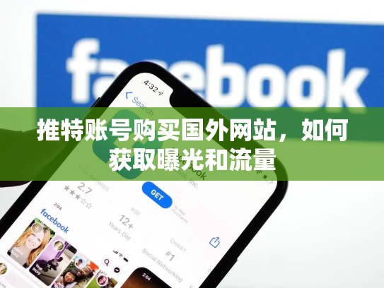 推特账号购买国外网站,如何获取曝光和流量