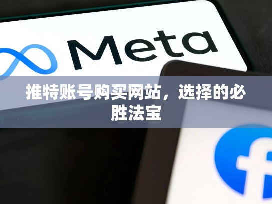 推特账号购买网站，选择的必胜法宝