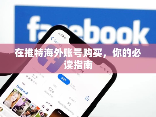 在推特海外账号购买,你的必读指南