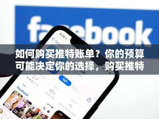 如何购买推特账单？你的预算可能决定你的选择，购买推特账户
