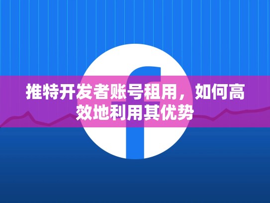 推特开发者账号租用，如何高效地利用其优势