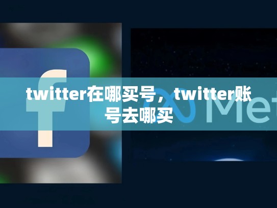 twitter在哪买号，twitter账号去哪买