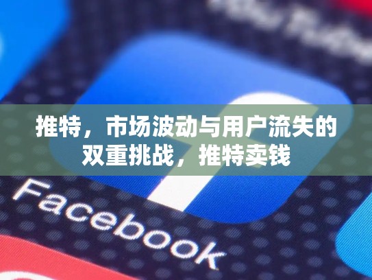 推特，市场波动与用户流失的双重挑战，推特卖钱