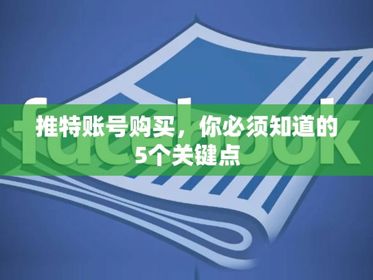 推特账号购买，你必须知道的5个关键点