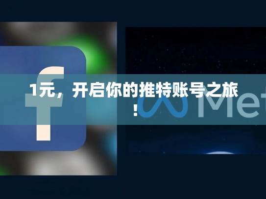 1元,开启你的推特账号之旅!