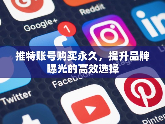 推特账号购买永久，提升品牌曝光的高效选择