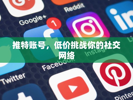 推特账号，低价挑战你的社交网络