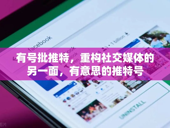 有号批推特,重构社交媒体的另一面,有意思的推特号
