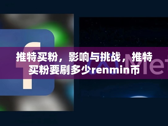 推特买粉,影响与挑战,推特买粉要刷多少renmin币