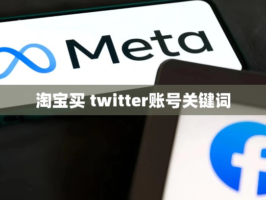 淘宝买 twitter账号关键词