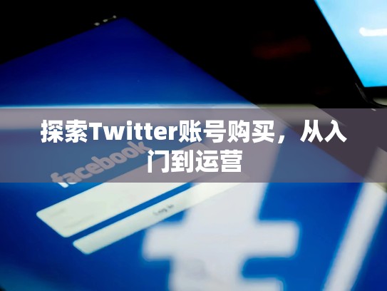 探索Twitter账号购买，从入门到运营