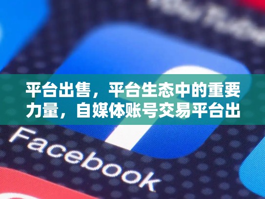 平台出售，平台生态中的重要力量，自媒体账号交易平台出售