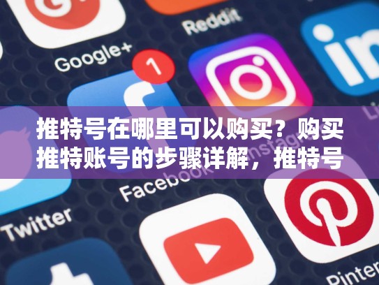 推特号在哪里可以购买？购买推特账号的步骤详解，推特号在哪里可以购买呢