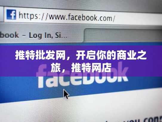 推特批发网，开启你的商业之旅，推特网店