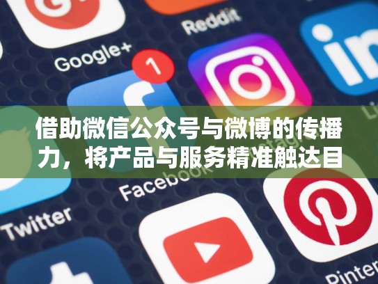 借助微信公众号与微博的传播力，将产品与服务精准触达目标用户
