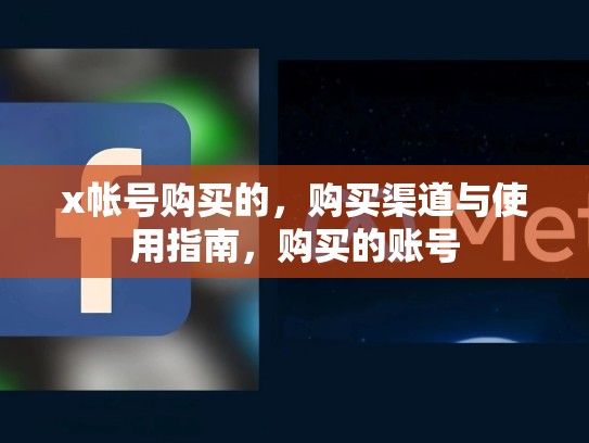 x帐号购买的，购买渠道与使用指南，购买的账号