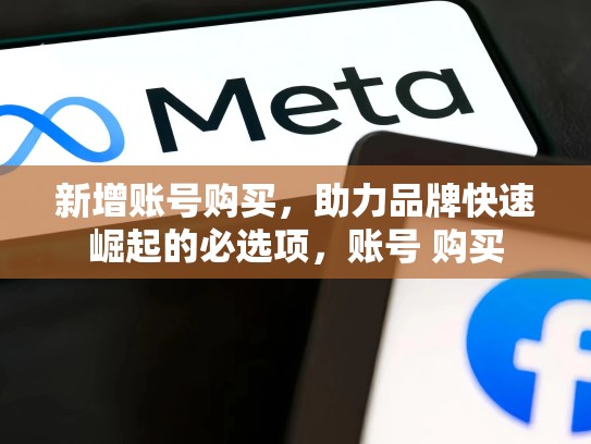 新增账号购买,助力品牌快速崛起的必选项,账号 购买